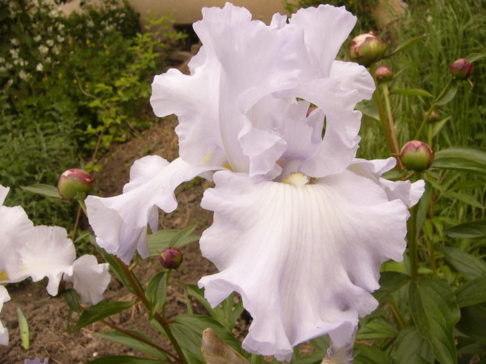 P1260535
