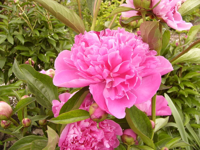 P1260565