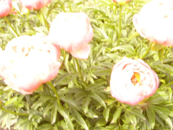 P1260622