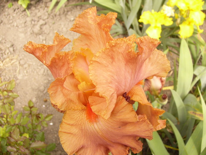 P1260633