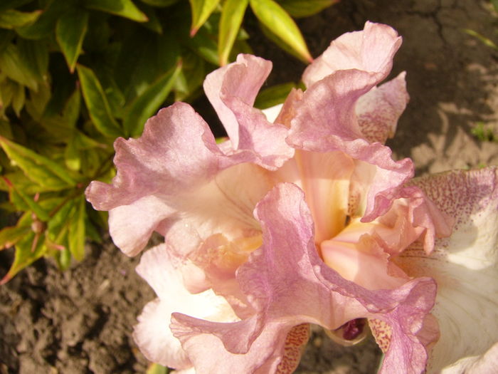 P1260643