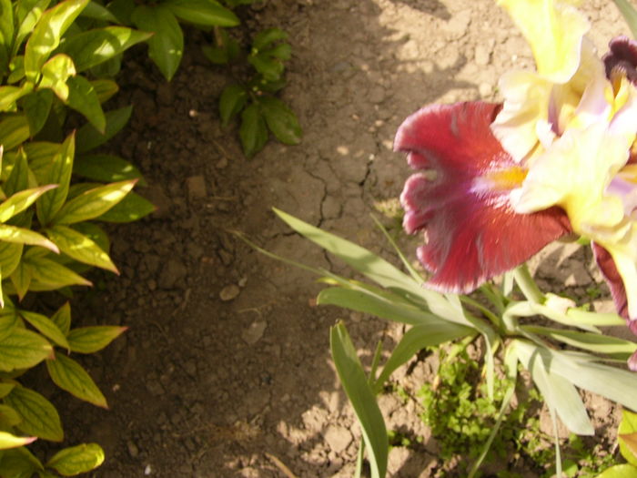 P1260650