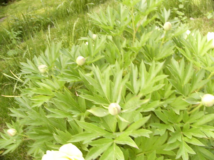 P1260664
