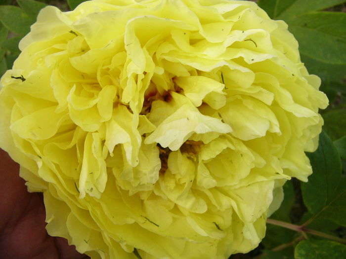 P1260670