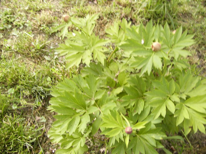 P1260676
