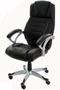 Scaun_ergonomic_223 - Scaune ergonomice