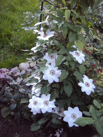 DSC00072