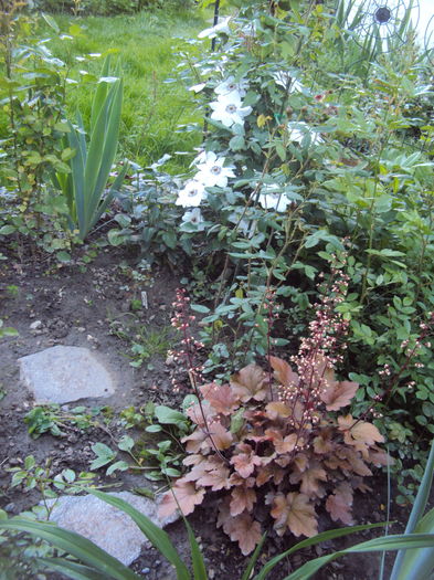 DSC00075