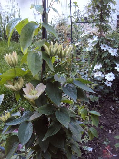 DSC00079