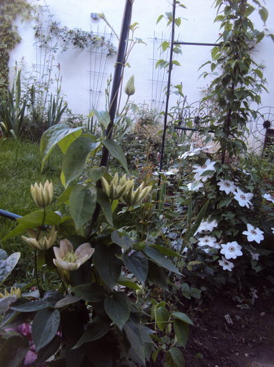 DSC00080