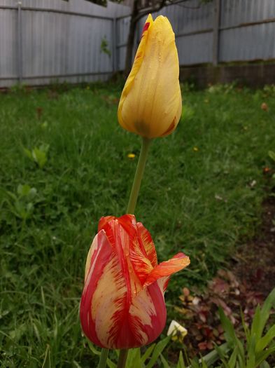 20160503_153159