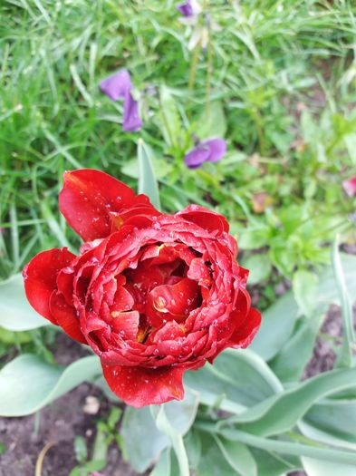 20160503_152143