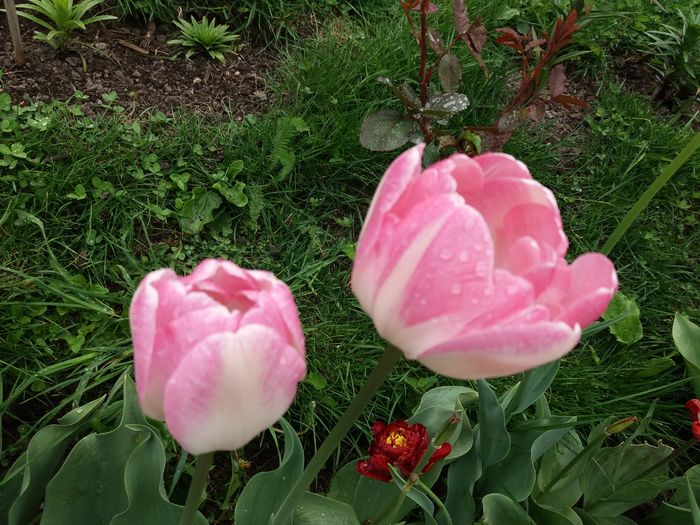 20160503_152039