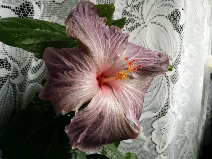 20160513_080126