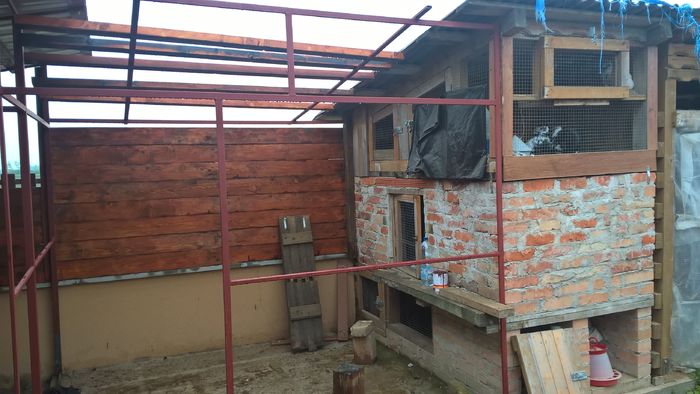 Boxa pentru porumbei