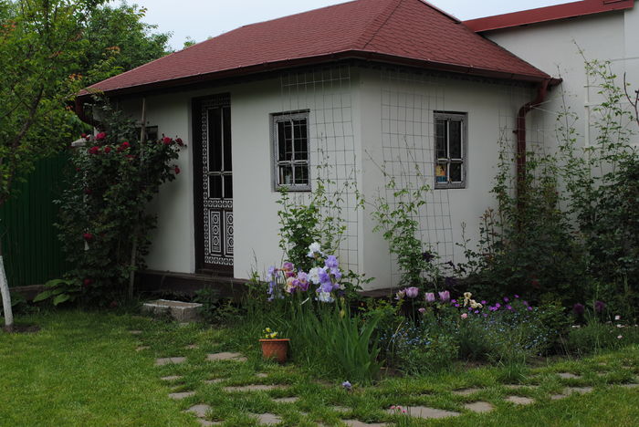 12 mai - 2016 gradina mea