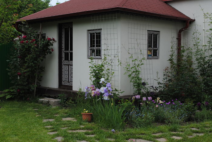 12 mai - 2016 gradina mea