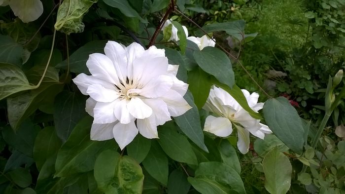 WP_20160512_019