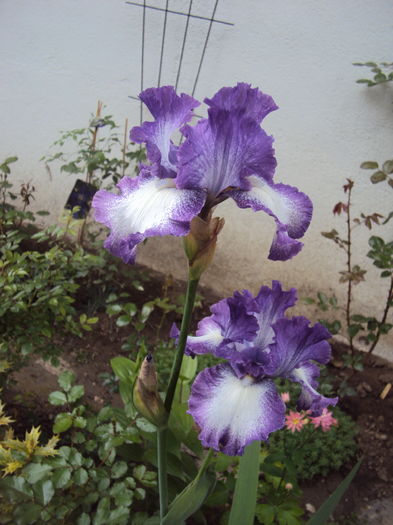 DSC00153