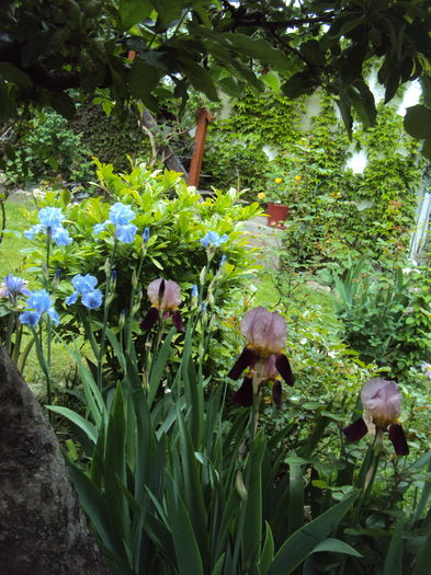 DSC00207