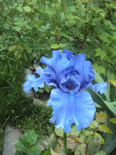 DSC00208