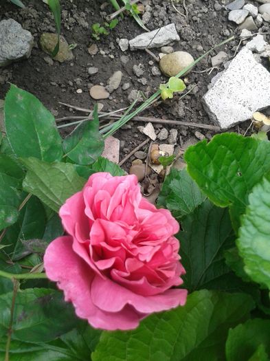 20160512_122431