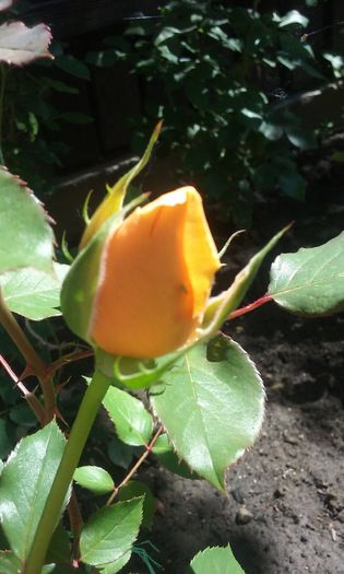 042