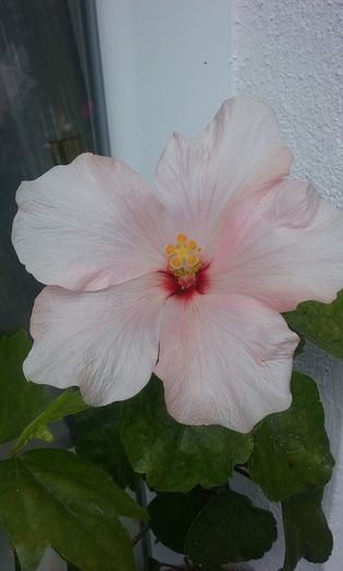045