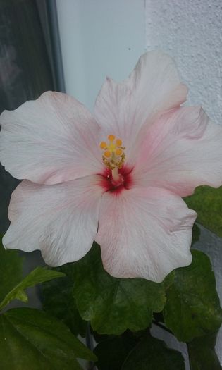 046