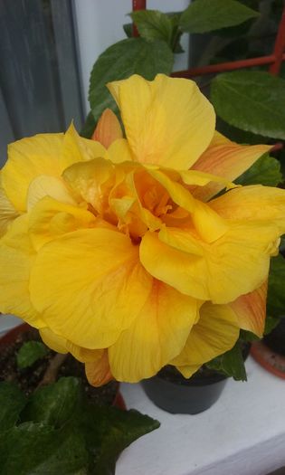 056