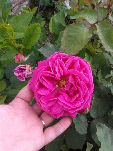 20160514_150013