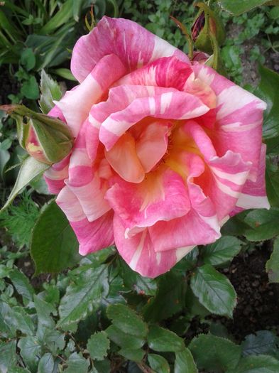 20160514_150103