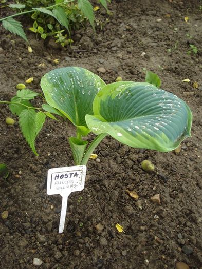 h Great Expectations (2)