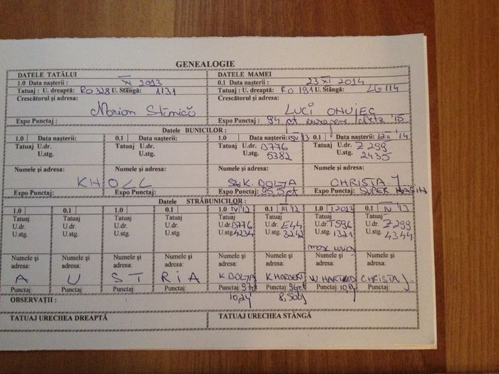 Ro 9 3604(F)Bolya+Knoll