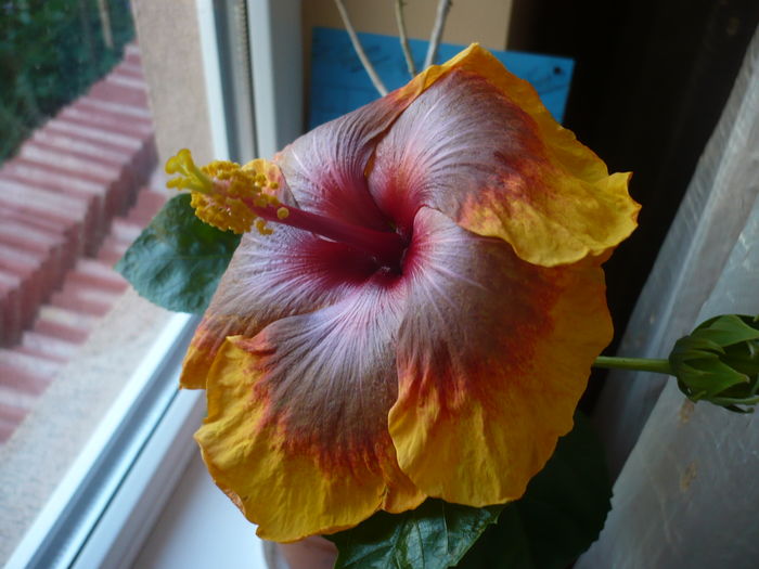 P1260669