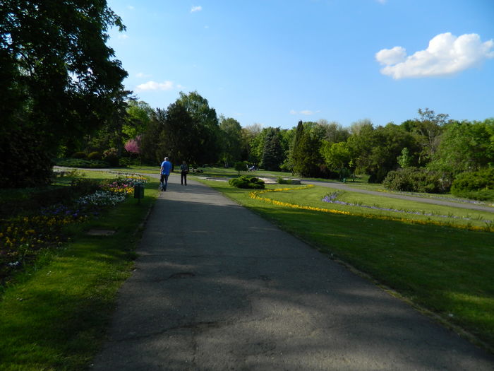 DSCN6168 - 2016 PARCUL BOTANIC TIMISOARA 2