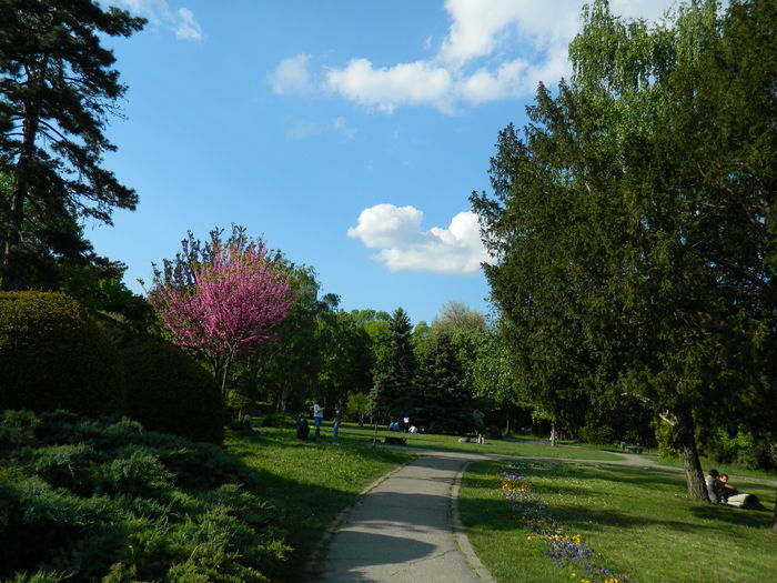 DSCN6176 - 2016 PARCUL BOTANIC TIMISOARA 2