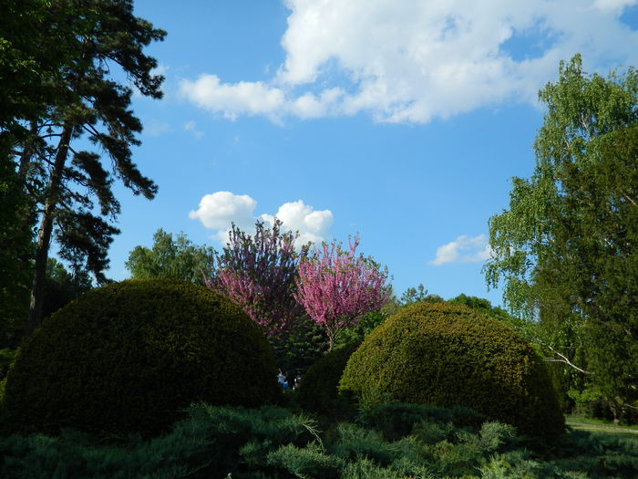 DSCN6177 - 2016 PARCUL BOTANIC TIMISOARA 2