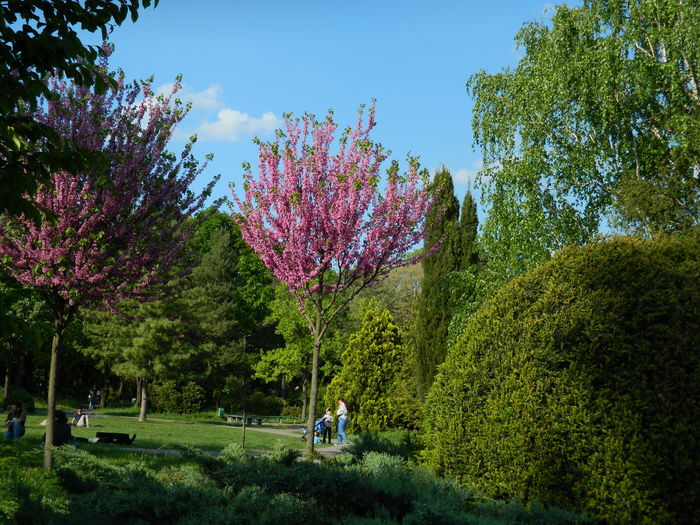 DSCN6179 - 2016 PARCUL BOTANIC TIMISOARA 2