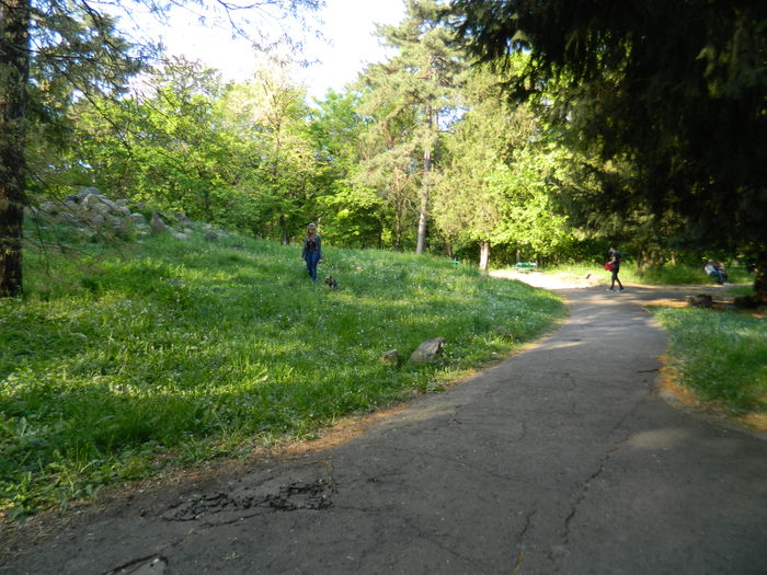 DSCN6196 - 2016 PARCUL BOTANIC TIMISOARA 2