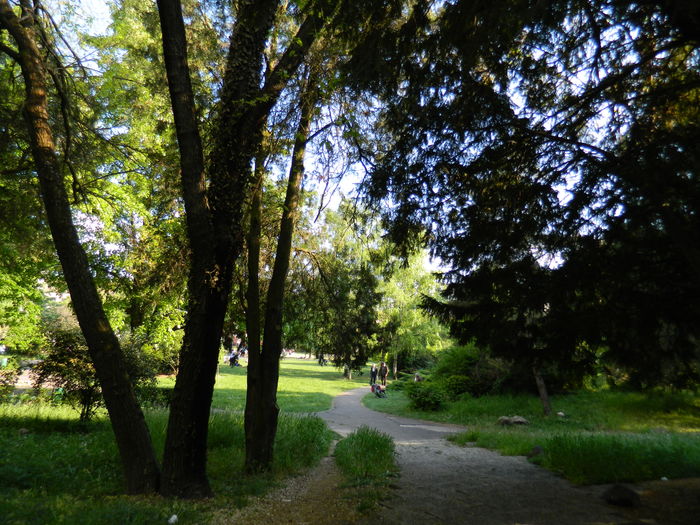 DSCN6198 - 2016 PARCUL BOTANIC TIMISOARA 2