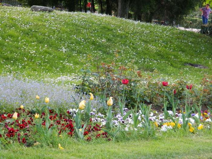 DSCN6217 - 2016 PARCUL BOTANIC TIMISOARA 2