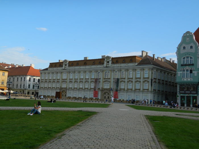 DSCN6231 - 2016 TIMISOARA