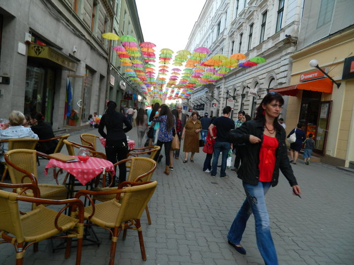 DSCN6284 - 2016 TIMISOARA