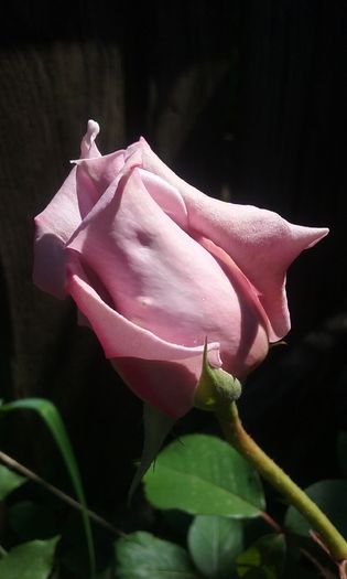 018