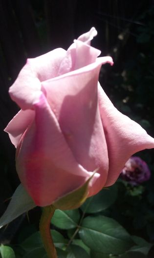 031
