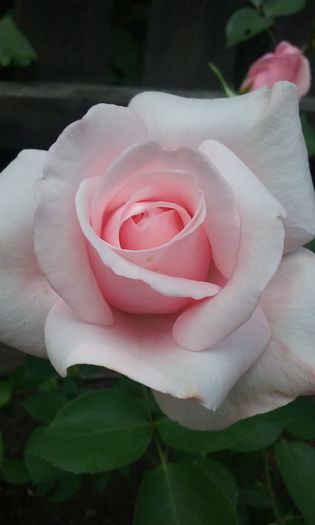 076