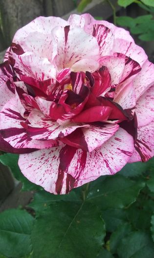 058