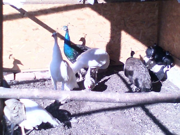 IMG-20160512-WA0044