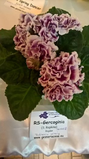 WP_20160514_13_23_21_Pro